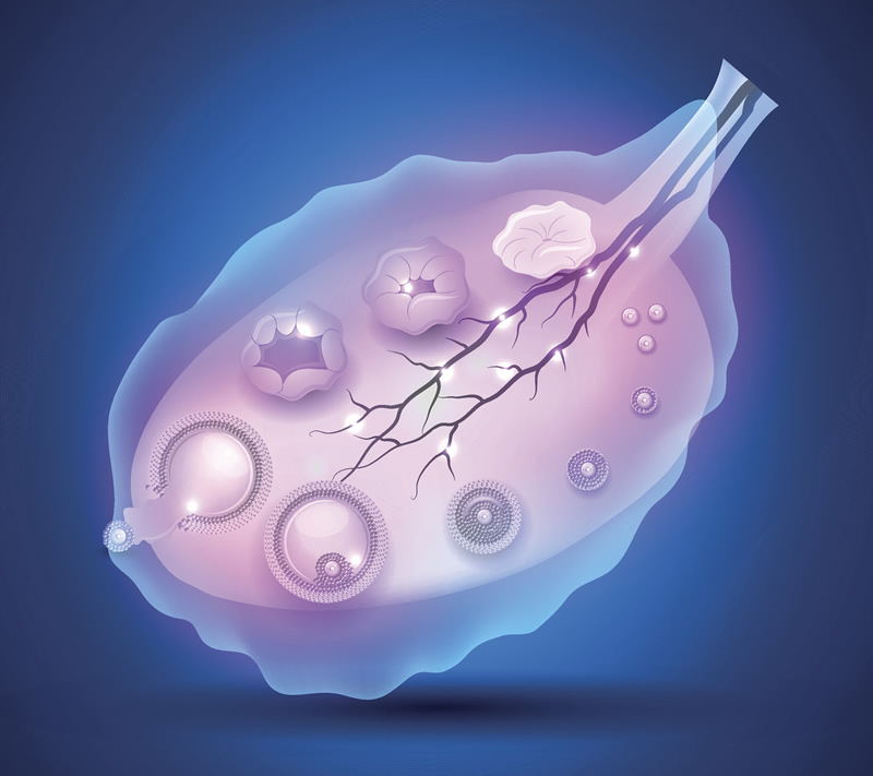 [权威科普]合肥试管助孕注意事项,染色体异常家庭优生策略